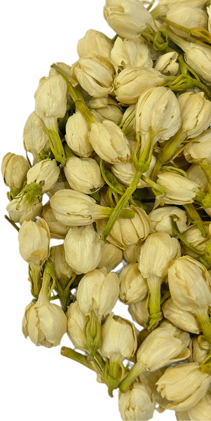 Жасмин PL-HERB-JASMINE-050 фото
