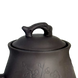 Чайник глиняний 'Пташка', світлий, 750 мл PL-TEAPOT-PTASHKA-750 фото 6